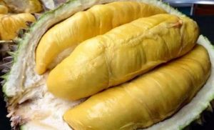 Mách bạn cách chọn sầu riêng ngon, cơm dày, hạt lép Mách bạn cách chọn sầu riêng ngon, cơm dày, hạt lép