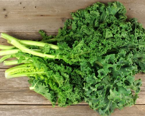 cai-xoan-kale