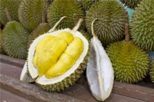 Mách bạn cách chọn sầu riêng ngon, cơm dày, hạt lép Mách bạn cách chọn sầu riêng ngon, cơm dày, hạt lép