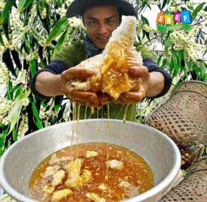 Mật ong rừng tây bắc mua ở đâu tại Hà Nội Mật ong rừng tây bắc mua ở đâu tại Hà Nội