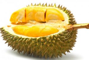 Mách bạn cách chọn sầu riêng ngon, cơm dày, hạt lép Mách bạn cách chọn sầu riêng ngon, cơm dày, hạt lép