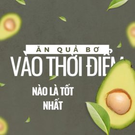 [Góc Giải Đáp] Ăn quả Bơ vào thời điểm nào thì tốt nhất?