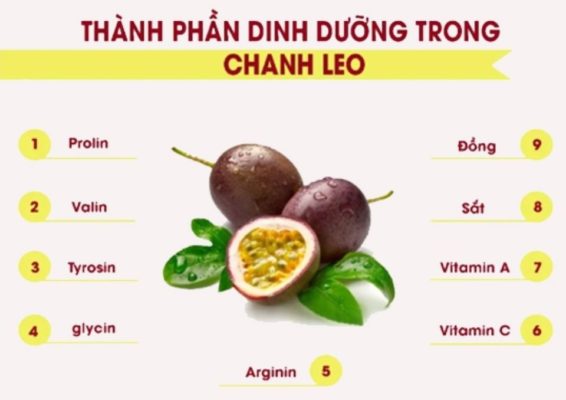 cach-pha-tra-chanh-day-thanh-phan-dinh-duong