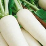 Tìm hiểu công dụng nước ép củ cải trắng