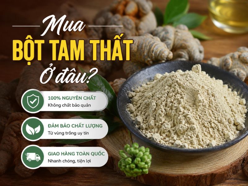 Mua bột tam thất Bắc uy tín ở đâu HN và TP.HCM 2026?